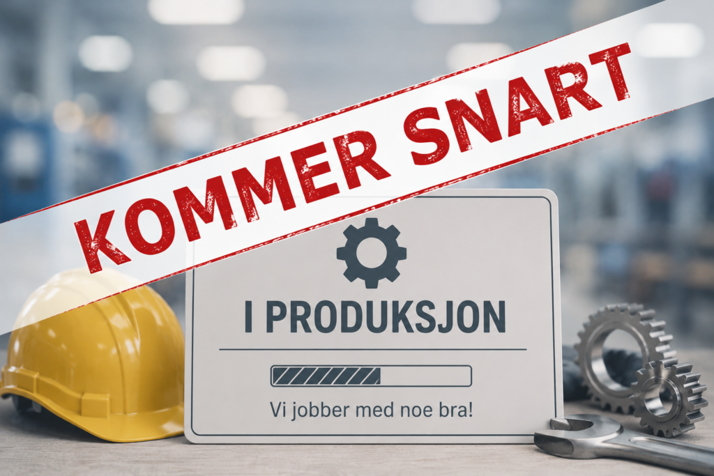 Veien inn i arbeidslivet